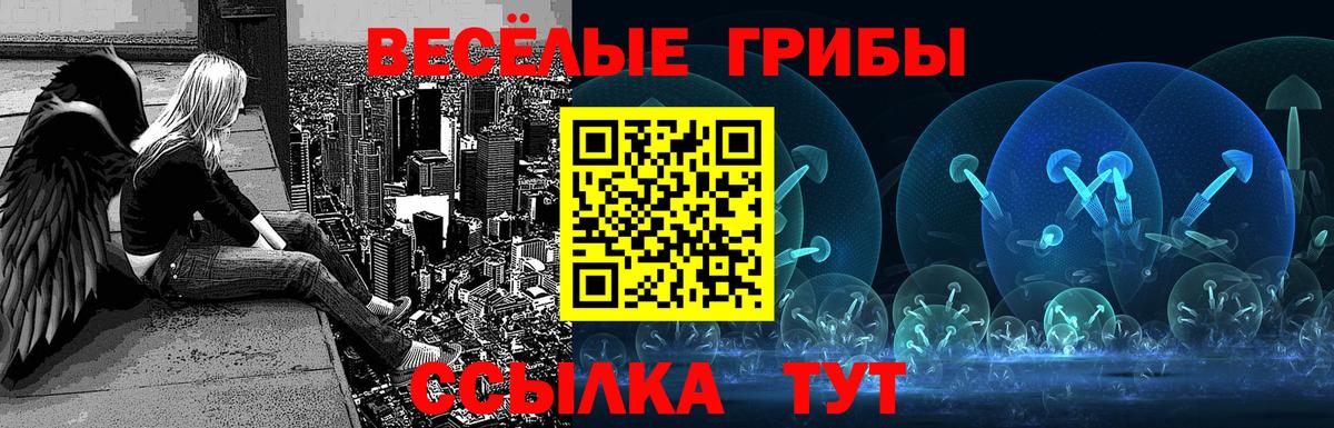Боровичи  Галлюциногенные грибы мухоморы  Псилоцибиновые грибы MAGIC MUSHROOMS  Вход с VPN 